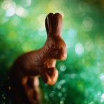 Chocolate Easter Rabbit