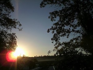 Sunrise in Sonora