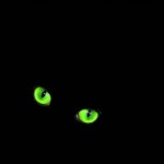 Black Cat with Green Eyes