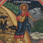 Representation of the Sower's Parable