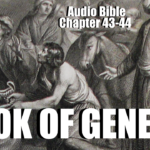 Book Of Genesis Chapter 43-44 Audio Bible