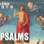 Psalm Chapter 16, 17 & 18 Audio Bible